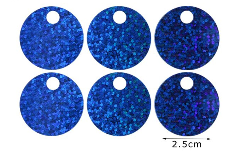 Paillettes Glitterate/brillantinate Maxi Rotonde 2,5 cm con Foro 5mm da 15GR