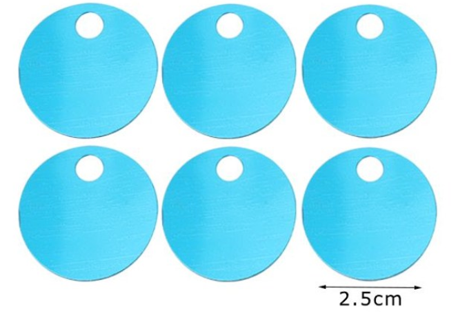 Paillettes  Rotonde 2,5 cm  15GR con foro 5mm