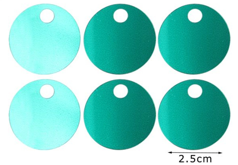 Paillettes  Rotonde 2,5 cm  15GR con foro 5mm