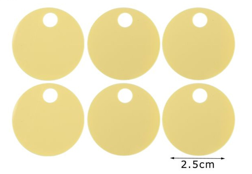 Paillettes  Rotonde 2,5 cm  15GR con foro 5mm