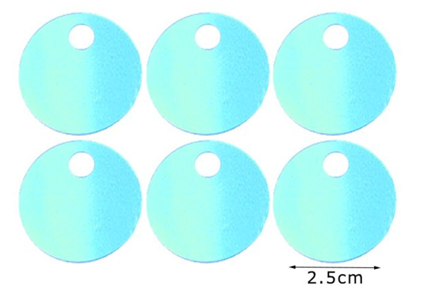Paillettes  Rotonde 2,5 cm  15GR con foro 5mm