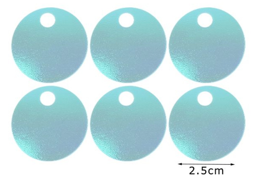 Paillettes  Rotonde 2,5 cm  15GR con foro 5mm